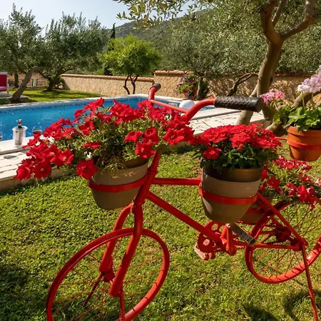 Marija By Guide Willa *